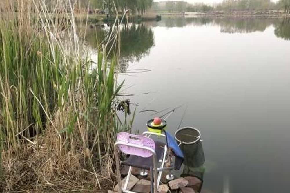 alt, 长吃口就好